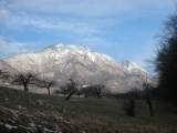 110 La Dent de Cons, vue depuis Mercury en Savoie