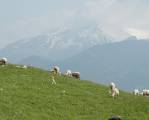 2004-016 Mai  Montmin