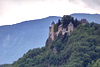 2008-61