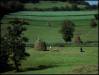 1981e Haymaking in Bosnia (then Yugoslavia) - 1981
